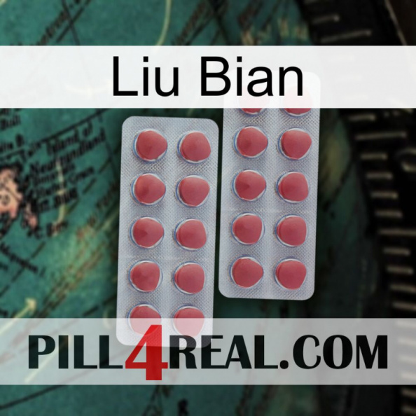 Liu Bian 19.jpg